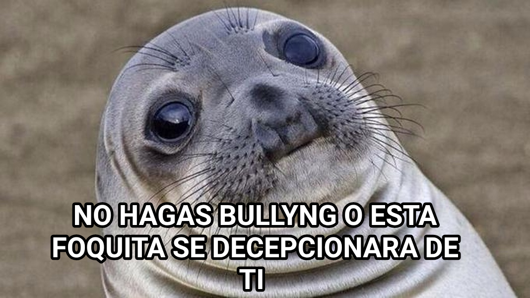 Awkward Moment Seal meme — No hagas bullyng o esta foquita se decepcionara de ti