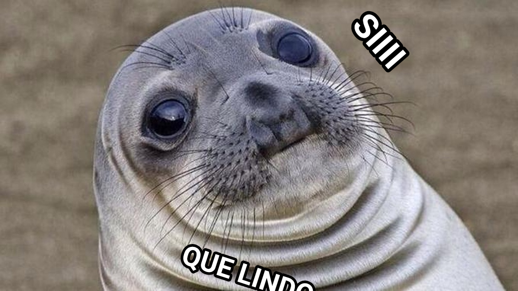 Awkward Moment Seal meme — Siiii QUE LINDO