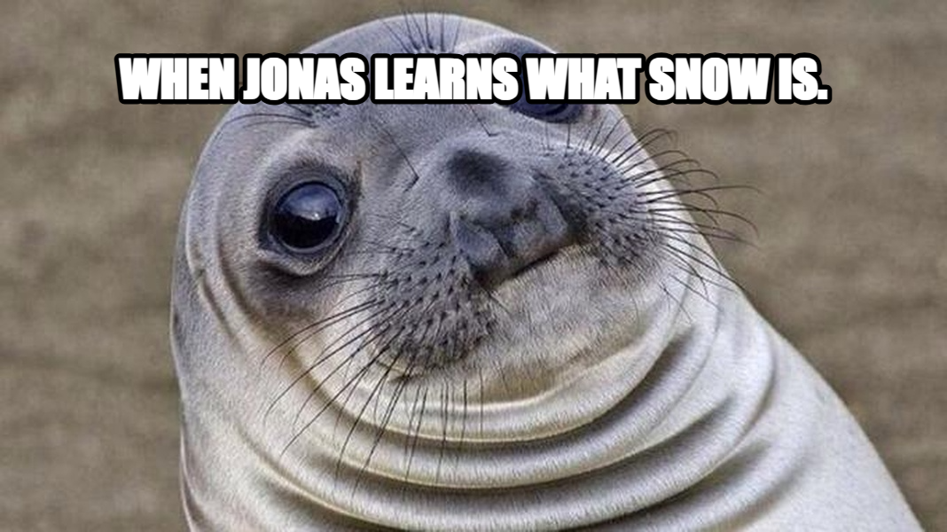 Awkward Moment Seal meme — When jonas learns what snow is.