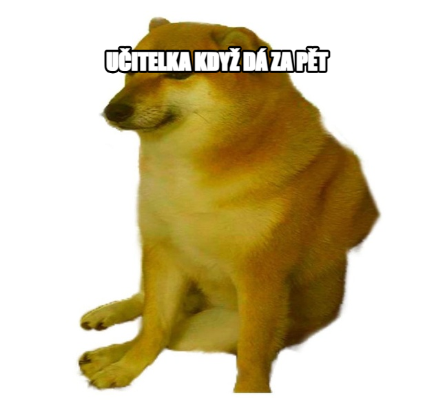 Cheems meme — UČITELKA KDYŽ DÁ ZA PĚT