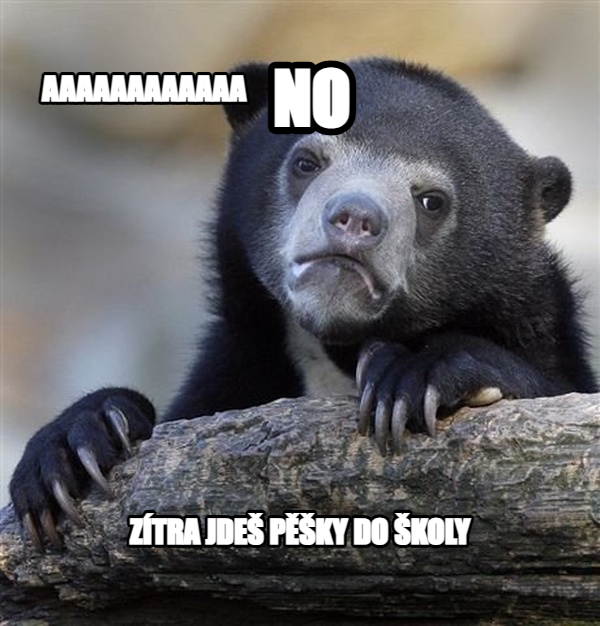 Confession Bear meme — AAAAAAAAAAAA ZÍTRA JDEŠ PĚŠKY DO ŠKOLY NO