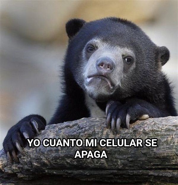 Confession Bear meme — Yo cuanto mi celular se apaga