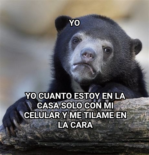 Confession Bear meme — Yo Yo cuanto estoy en la casa solo con mi celular y me tilame en la cara