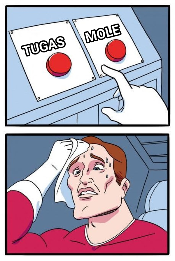Daily Struggle meme — Tugas Mole