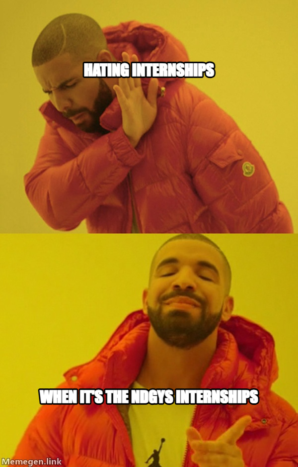 Drakeposting meme — hating internships when it's the ndgys internships