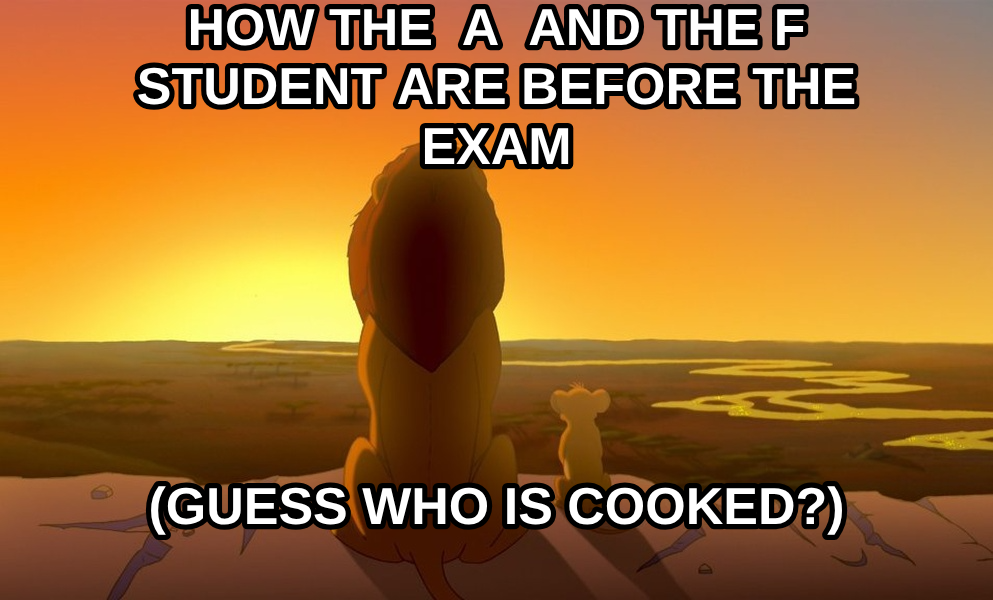 Everything the Light Touches is Our Kingdom meme — how the  A  and the f student are before the exam (guess who is cooked?)