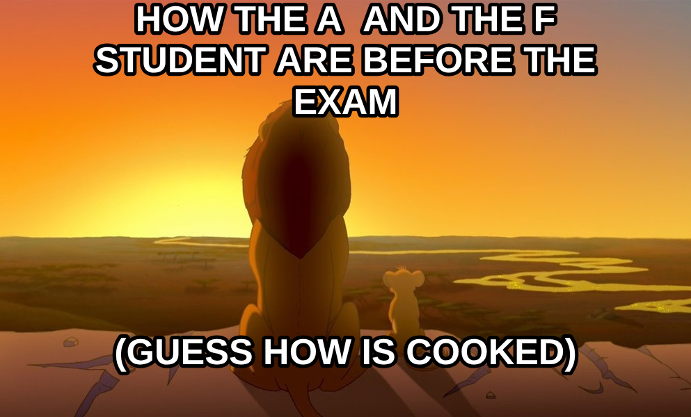 Everything the Light Touches is Our Kingdom meme — how the A  and the f student are before the exam (guess how is cooked)