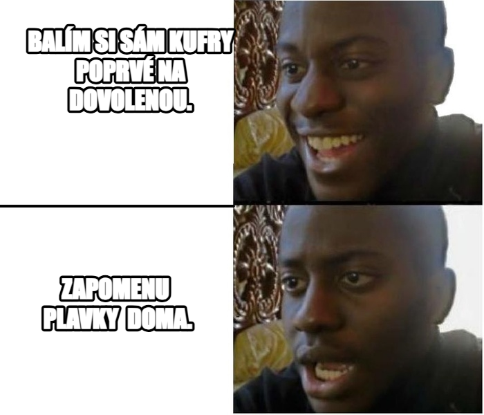 Expectation vs. Reality meme — Balím si sám kufry poprvé na dovolenou. zapomenu  plavky  doma.