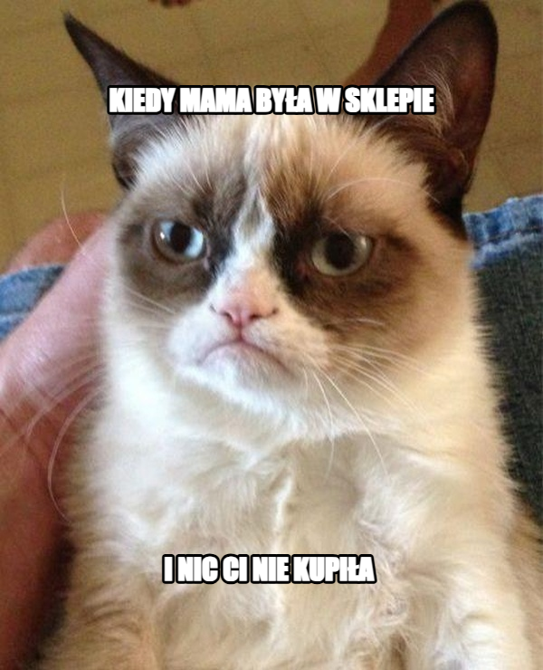 Grumpy Cat meme — kiedy mama była w sklepie i nic ci nie kupiła