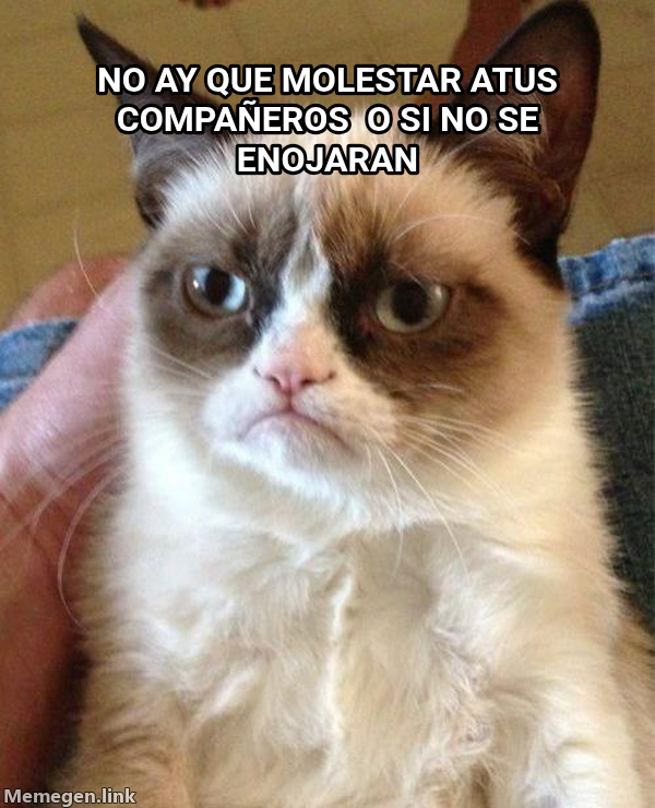Grumpy Cat meme — No ay que molestar atus compañeros  o si no se enojaran