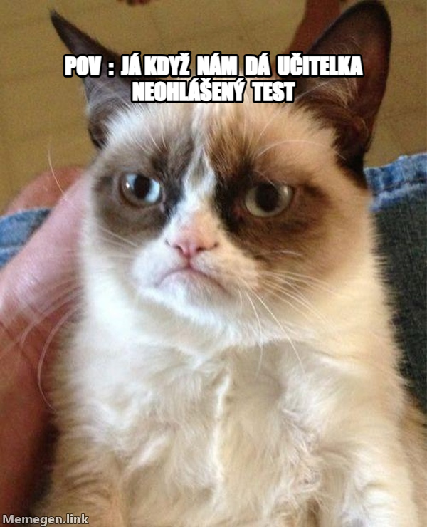 Grumpy Cat meme — pov  :  já když  nám  dá  učitelka neohlášený  test