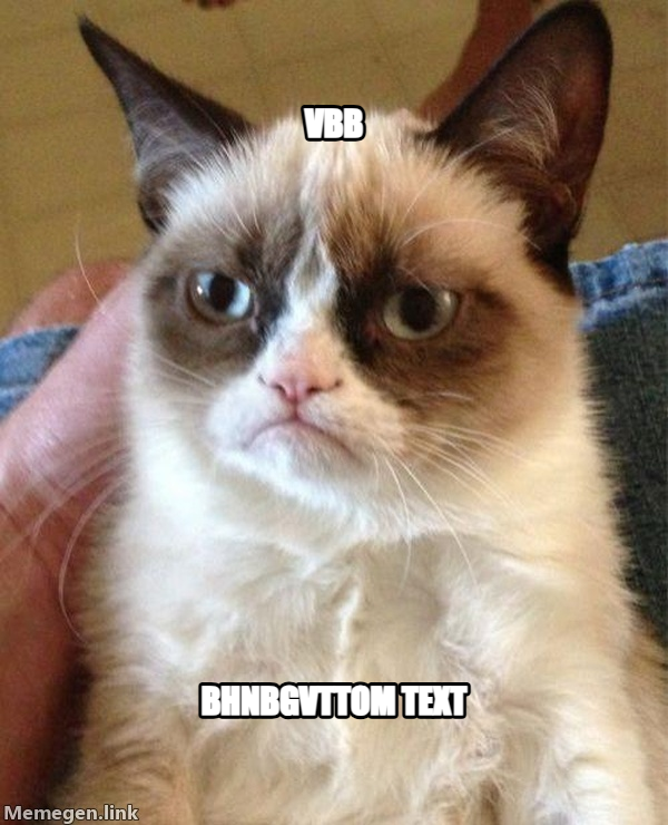 Grumpy Cat meme — vbb BhnbgvTTOM TEXT
