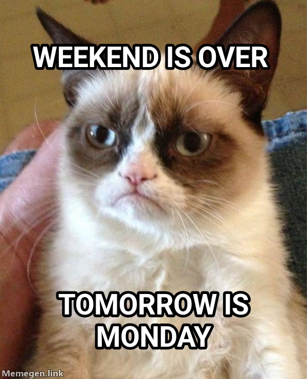 Grumpy Cat meme — Weekend is over Tomorrow is monday