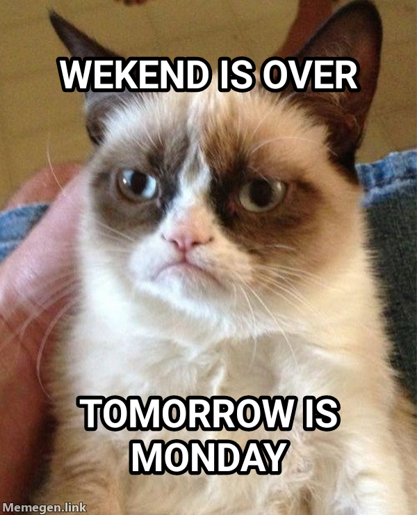 Grumpy Cat meme — Wekend is over Tomorrow is monday