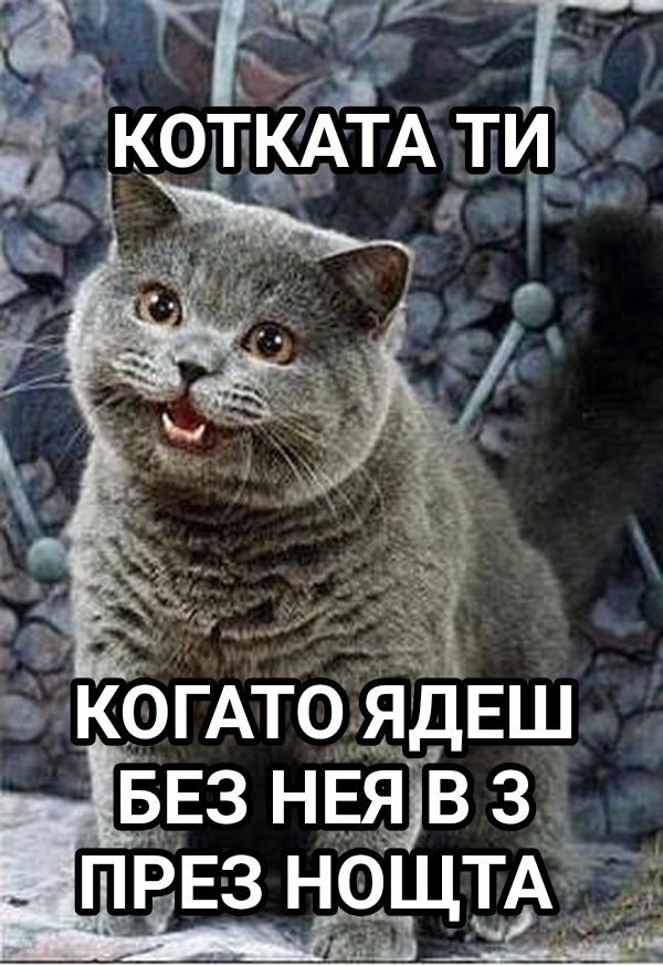 I Can Has Cheezburger? meme — Котката ти Когато ядеш без нея в 3 преЗ нощта