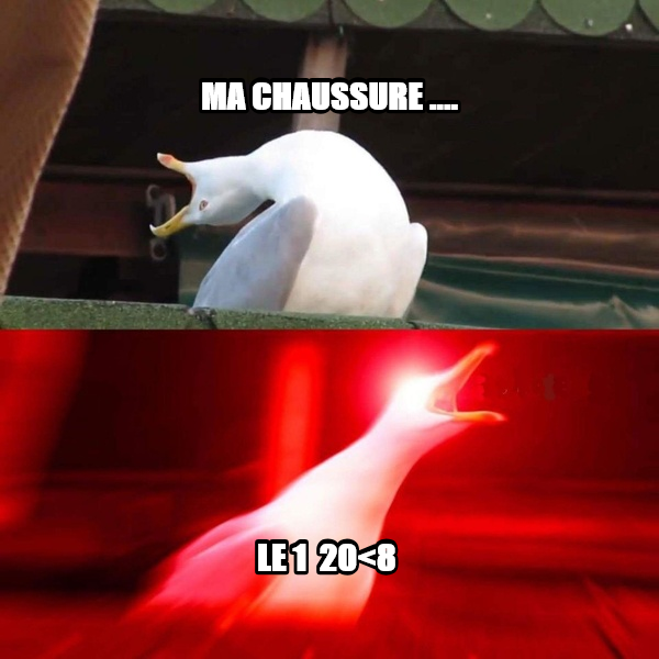 Inhaling Seagull meme — Ma chaussure .... le 1  20<8
