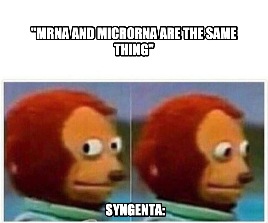Monkey Puppet meme — "MRNA AND MICRORNA ARE THE SAME THING" SYNGENTA: