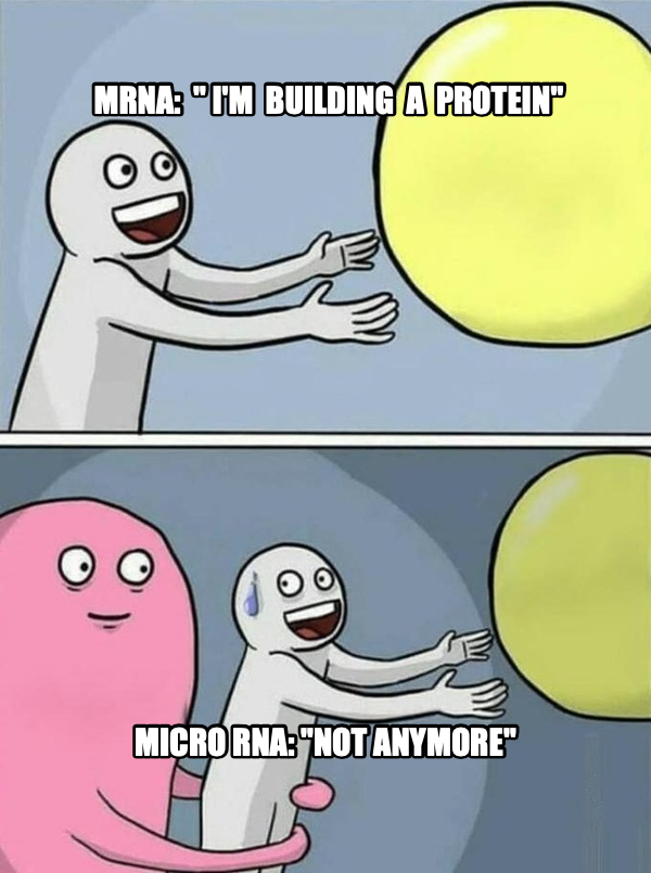 Running Away Balloon meme — mrna:  " I'm  building  a  protein" micro rna: "not anymore"