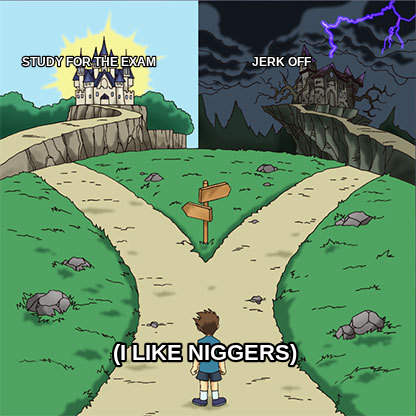 Two Paths meme — Study for the exam                                Jerk off (I like niggers)