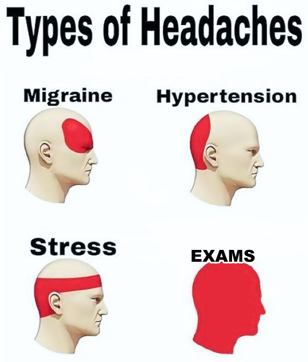 Types of Headaches meme — Exams
