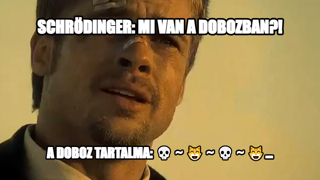 What's in the box!? meme — Schrödinger: mi van a dobozban?! A doboz tartalma: 💀 ~ 😸 ~ 💀 ~ 😸...