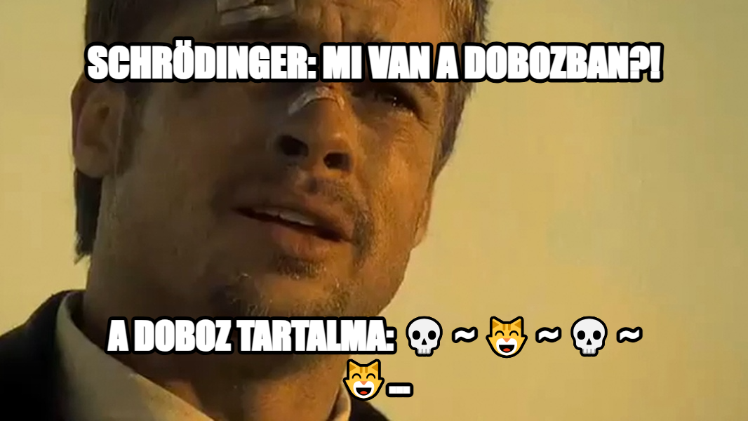 What's in the box!? meme — Schrödinger: mi van a dobozban?! A doboz tartalma: 💀 ~ 😸 ~ 💀 ~ 😸...