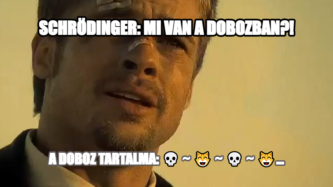 What's in the box!? meme — Schrödinger: mi van a dobozban?! A doboz tartalma: 💀 ~ 😸 ~ 💀 ~ 😸...