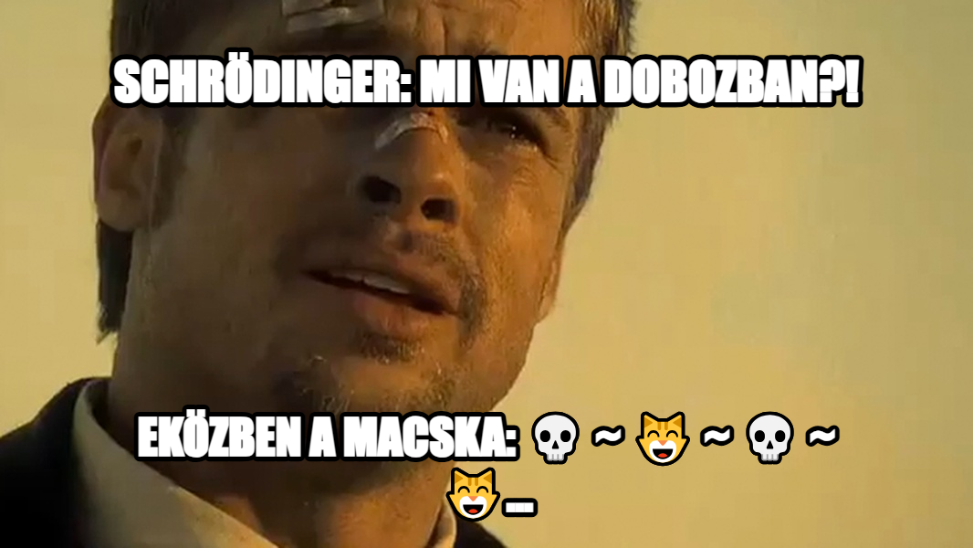 What's in the box!? meme — Schrödinger: mi van a dobozban?! eközben A macska: 💀 ~ 😸 ~ 💀 ~ 😸...