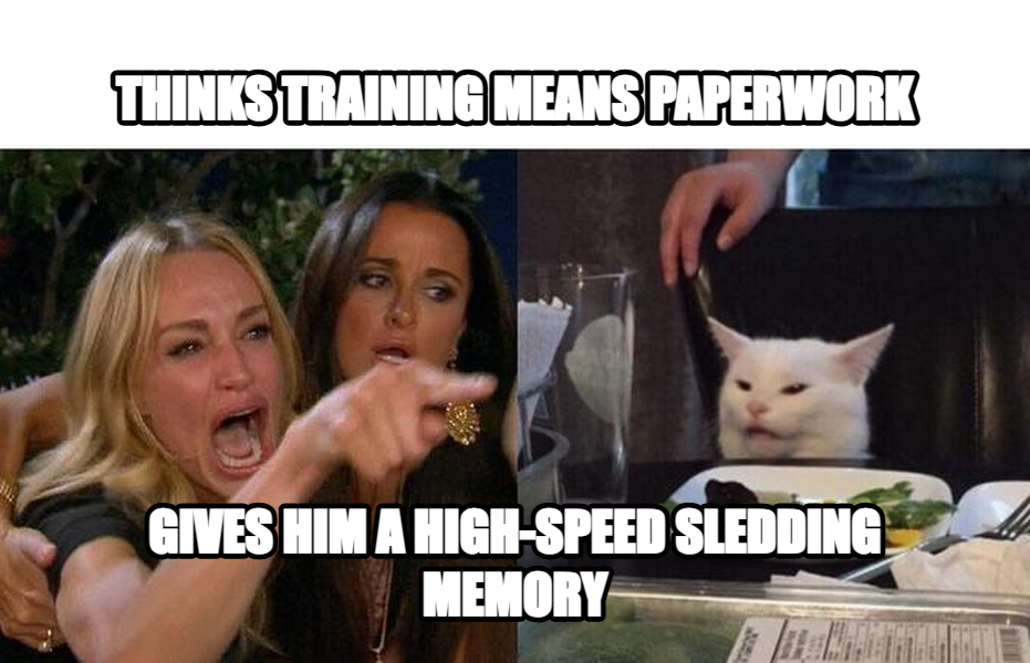 Woman Yelling at a Cat meme — Thinks Training means paperwork Gives him a high-speed sledding memory
